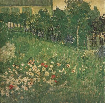 Vincent Van Gogh Daubigny's Garden (nn04) oil painting picture